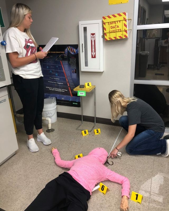 Week one and Biomedical Sciences students are already investigating a crime scene.
#centraltechedu #centraltechBioMed #pltw #scienceiscool #stemeducation