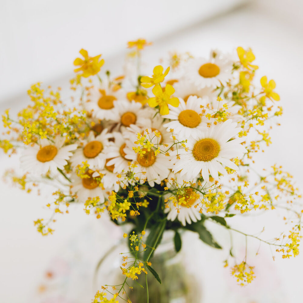 wildflowers in a mason jar