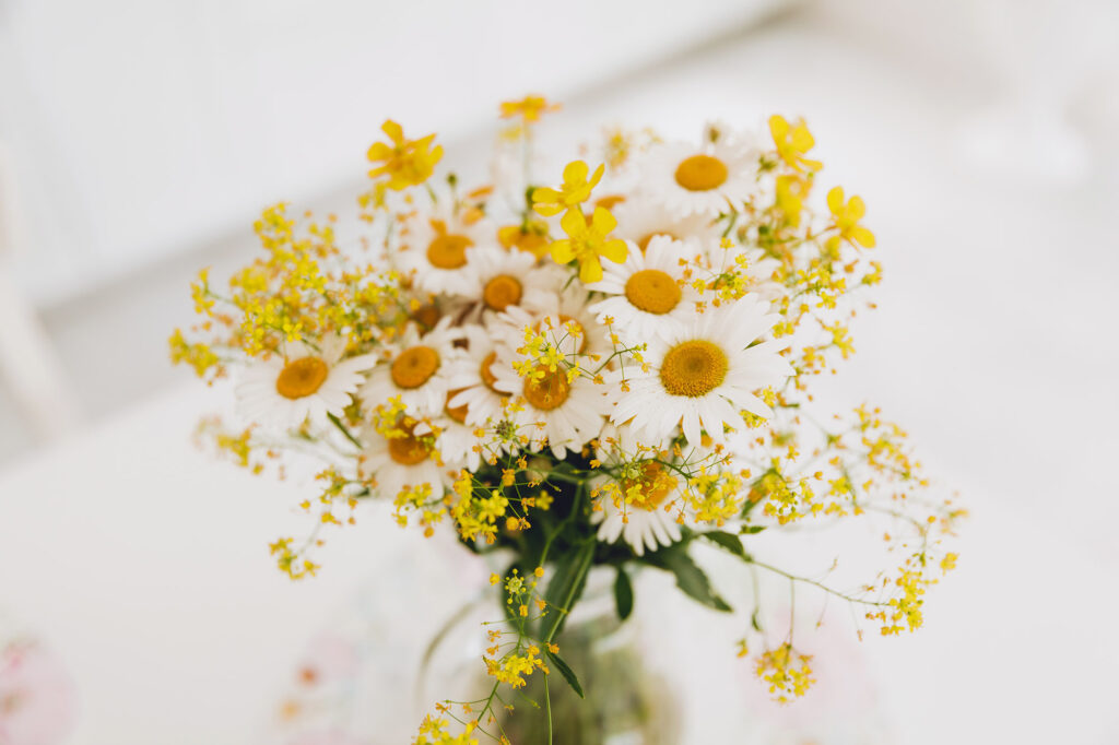 wildflowers in a mason jar